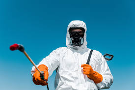 Best Bee and Wasp Removal  in Thatcher, AZ